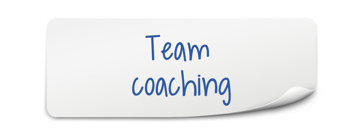 Team Coaching